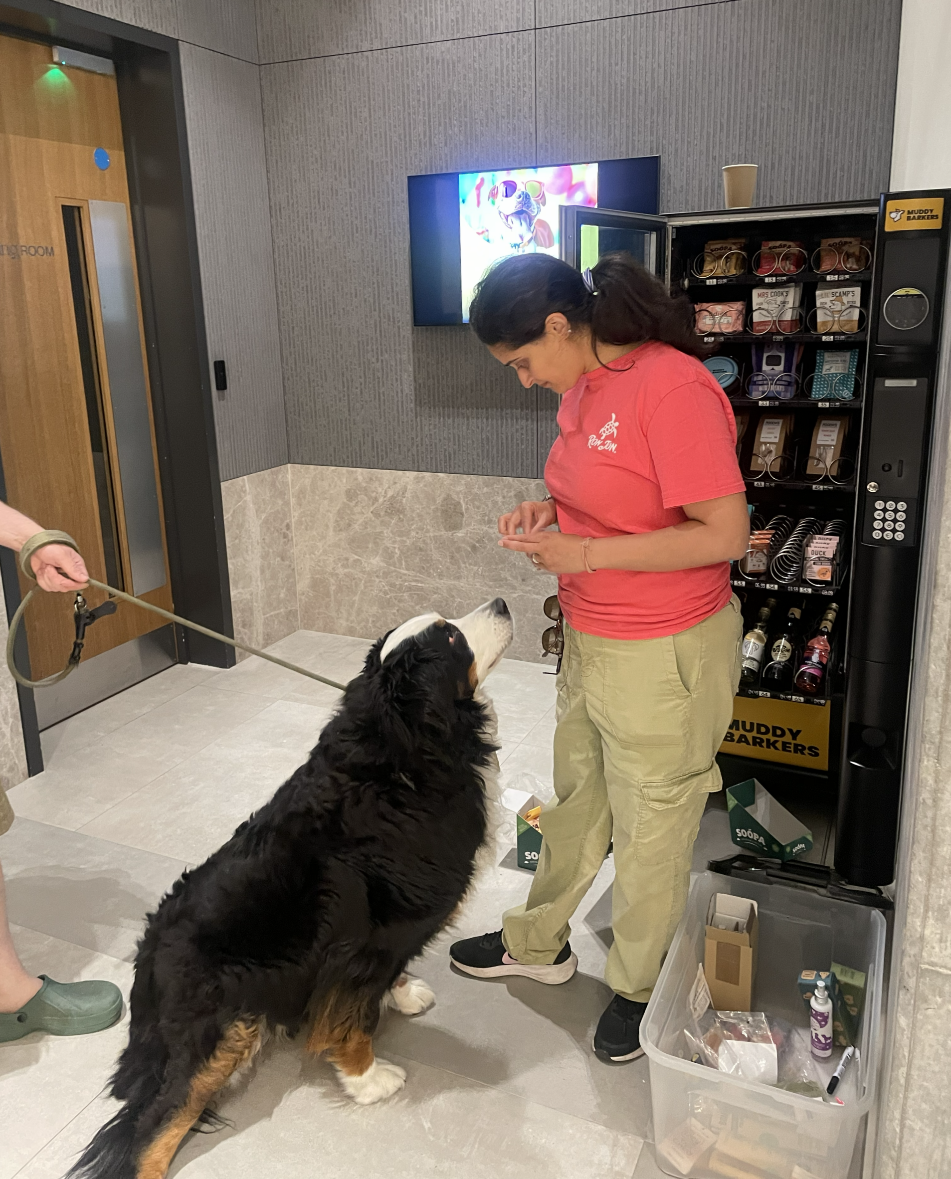 From Walk to Experience: How Dog-Friendly Spaces Increase Dwell Time